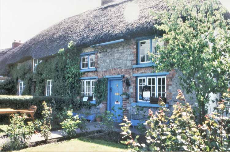 thatched-roof house